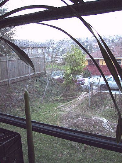 [The view from the kitchen.
]