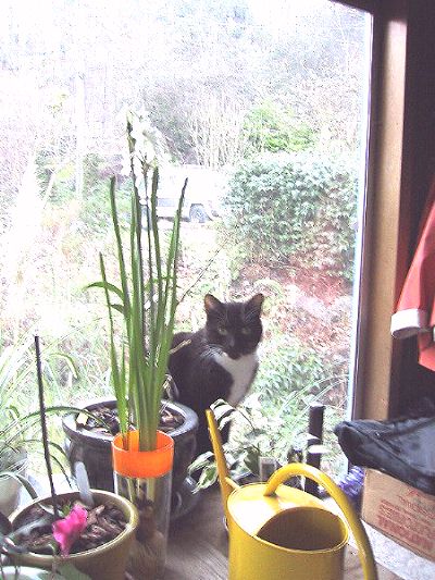 [The view out the front window.
]